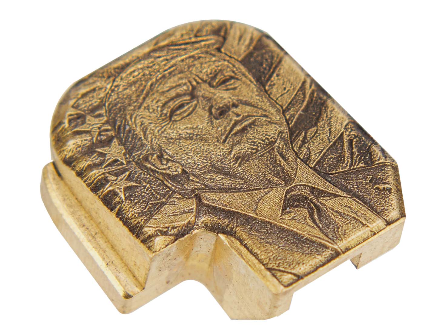 NDZ Sig P365, P365XL, X Macro, Fuse Brass Donald Trump Slide Cover